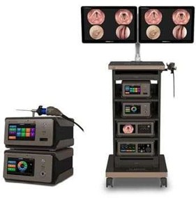 Endoscope asisted forehead dissection
